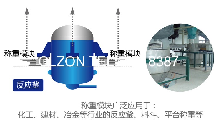 液體灌裝機(jī),稱(chēng)重灌裝機(jī),定量灌裝機(jī)