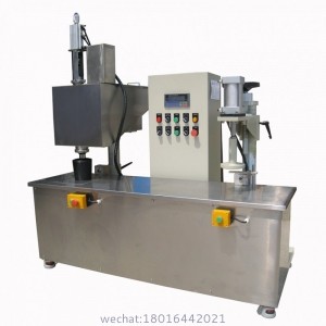 5L capping and filling machine